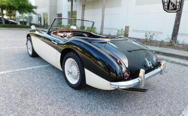 Austin-Healey-3000-1960-Black-Black-19302-11