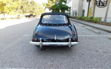 Austin-Healey-3000-1960-Black-Black-19302-4