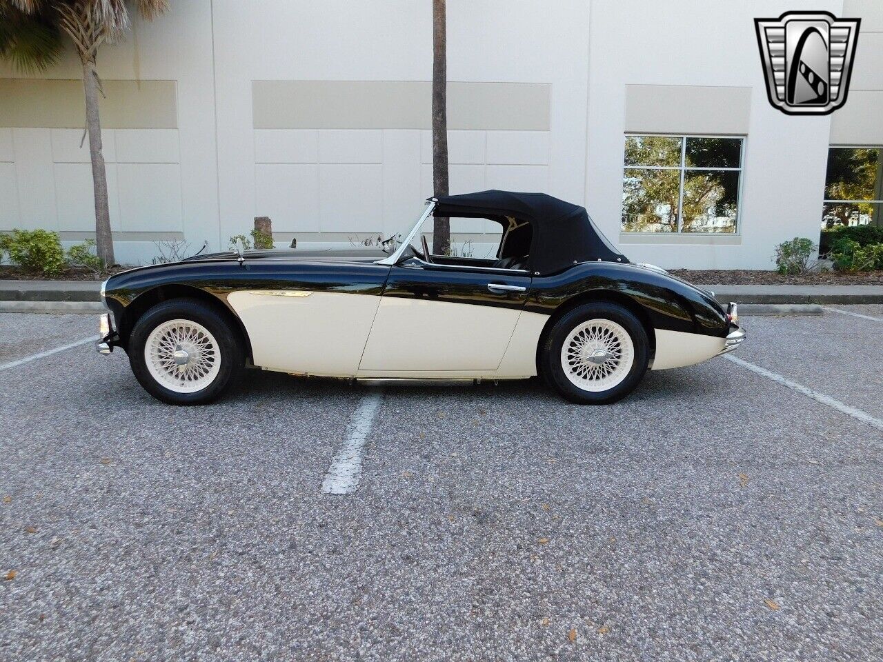 Austin-Healey-3000-1960-Black-Black-19302-5