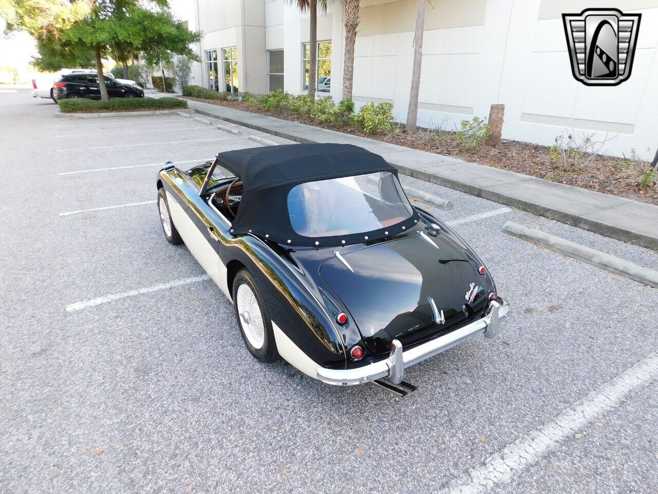 Austin-Healey-3000-1960-Black-Black-19302-9