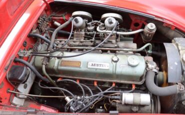 Austin-Healey-3000-1962-Red-Red-0-7