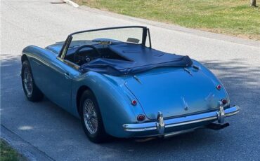 Austin-Healey-3000-1964-Blue-Black-163390-10