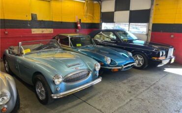 Austin-Healey-3000-1964-Blue-Black-163390-22