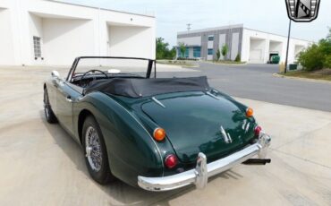 Austin-Healey-3000-1966-Green-Black-118977-8