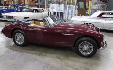 Austin-Healey-3000-Cabriolet-1965-Burgundy-Tan-37749-28