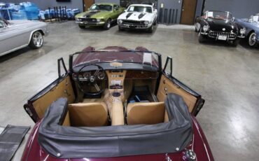 Austin-Healey-3000-Cabriolet-1965-Burgundy-Tan-37749-38