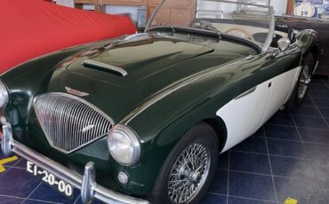 Austin-Healey-Other-1953-Green-Black-65763-2