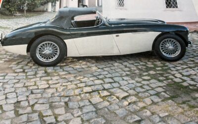 Austin-Healey Other  1953 à vendre