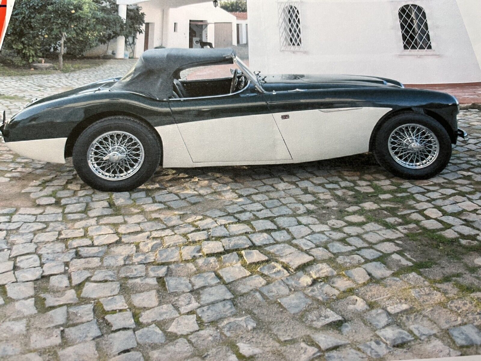 Austin-Healey Other  1953