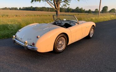 Austin-Healey-Other-Cabriolet-1956-White-Black-56-1