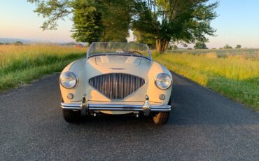 Austin-Healey-Other-Cabriolet-1956-White-Black-56-4