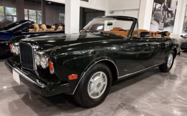 Bentley-Continental-Cabriolet-1993-Green-Brown-60350-1