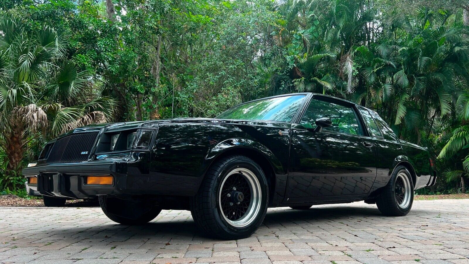 Buick-Grand-National-Coupe-1987-Black-Black-37004-8