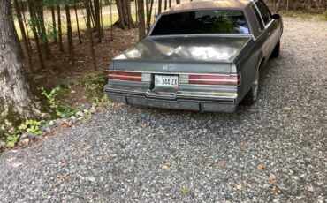 Buick-Regal-limited-1985-grey-58741-2