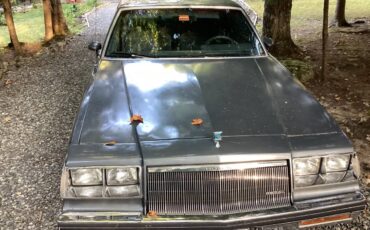 Buick-Regal-limited-1985-grey-58741