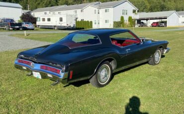 Buick-Riviera-1973-brown-109145-3