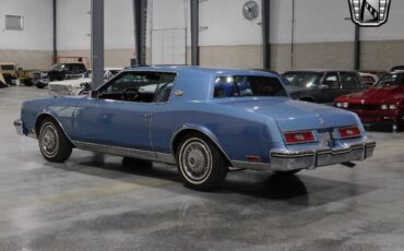 Buick-Riviera-Coupe-1980-Blue-Blue-14668-3