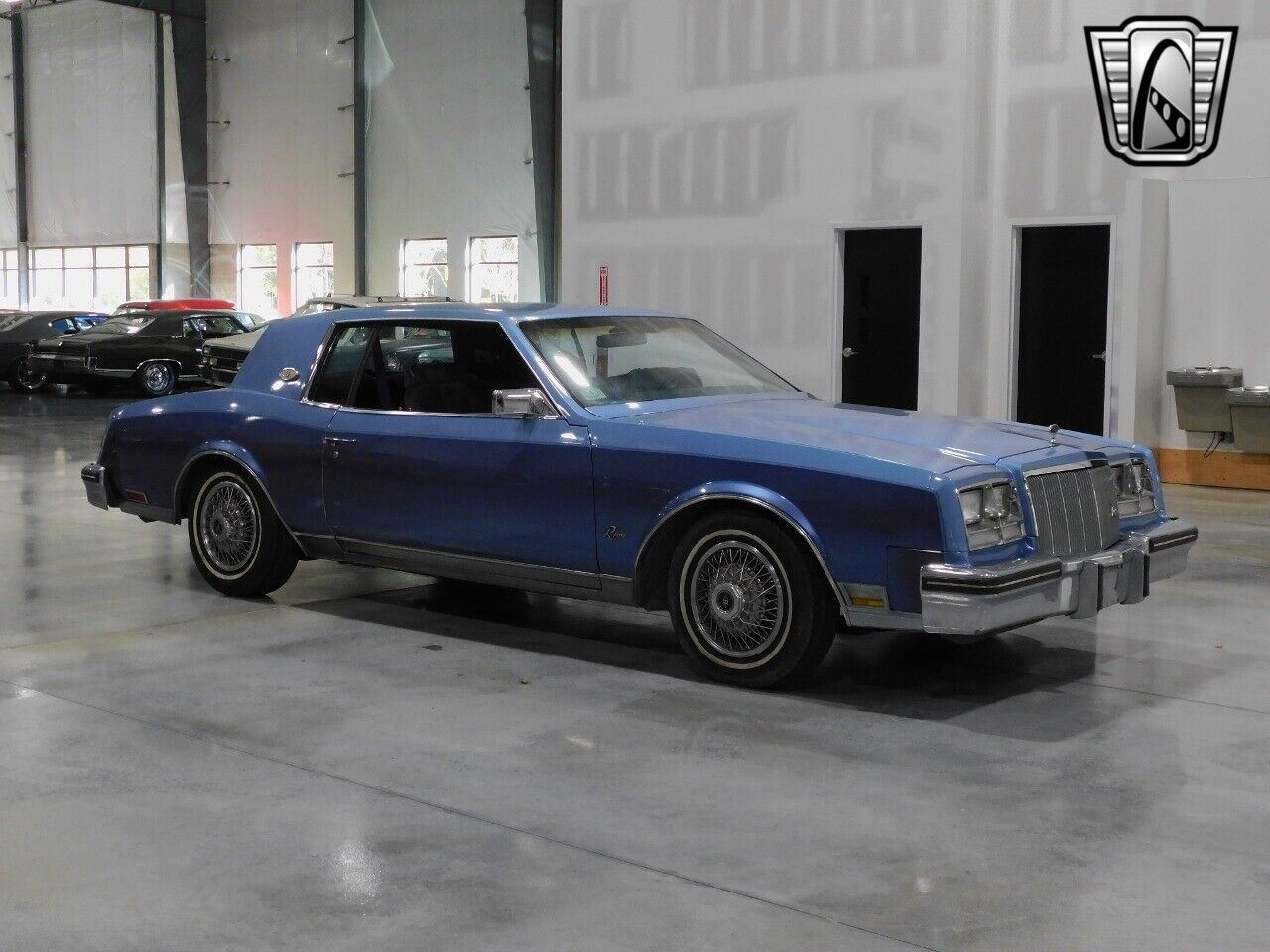 Buick-Riviera-Coupe-1980-Blue-Blue-14668-5