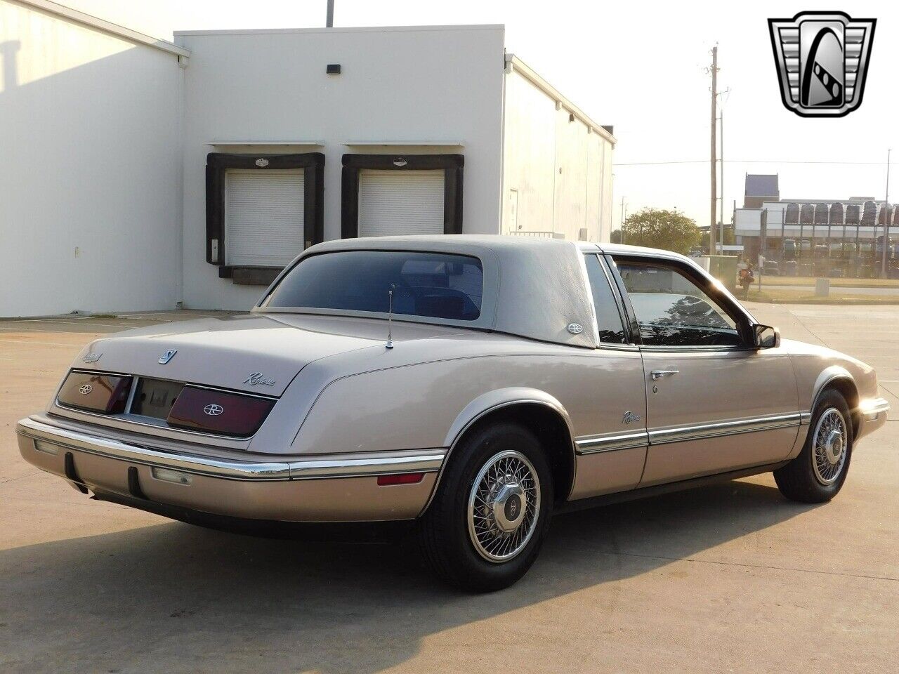 Buick-Riviera-Coupe-1989-Brown-Tan-99052-7