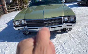 Buick-Skylark-1969-green-125529-2