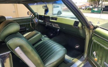 Buick-Skylark-Coupe-1969-Green-Green-157106-15