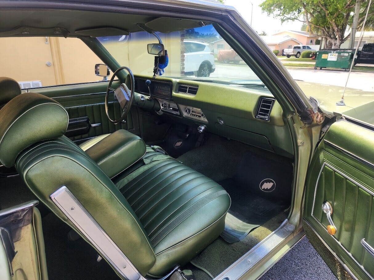 Buick-Skylark-Coupe-1969-Green-Green-157106-15