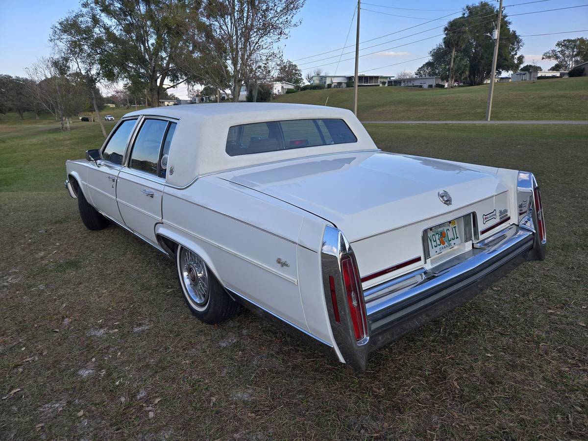 Cadillac-Brougham-1989-95201-3