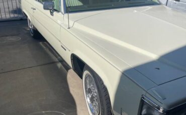 Cadillac-Deville-1981-75639-2