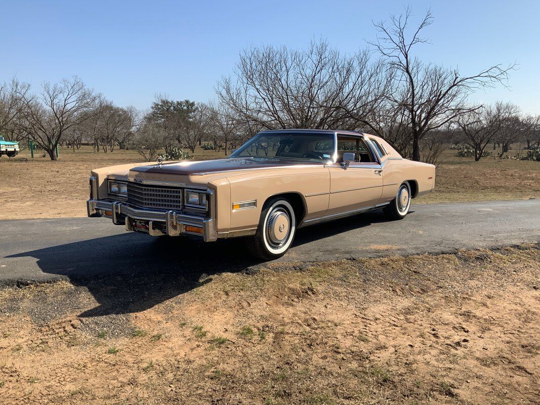 Cadillac-Eldorado-Coupe-1978-Beige-Brown-24876-10