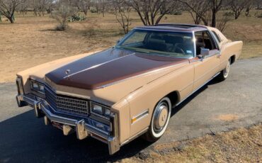 Cadillac-Eldorado-Coupe-1978-Beige-Brown-24876-11