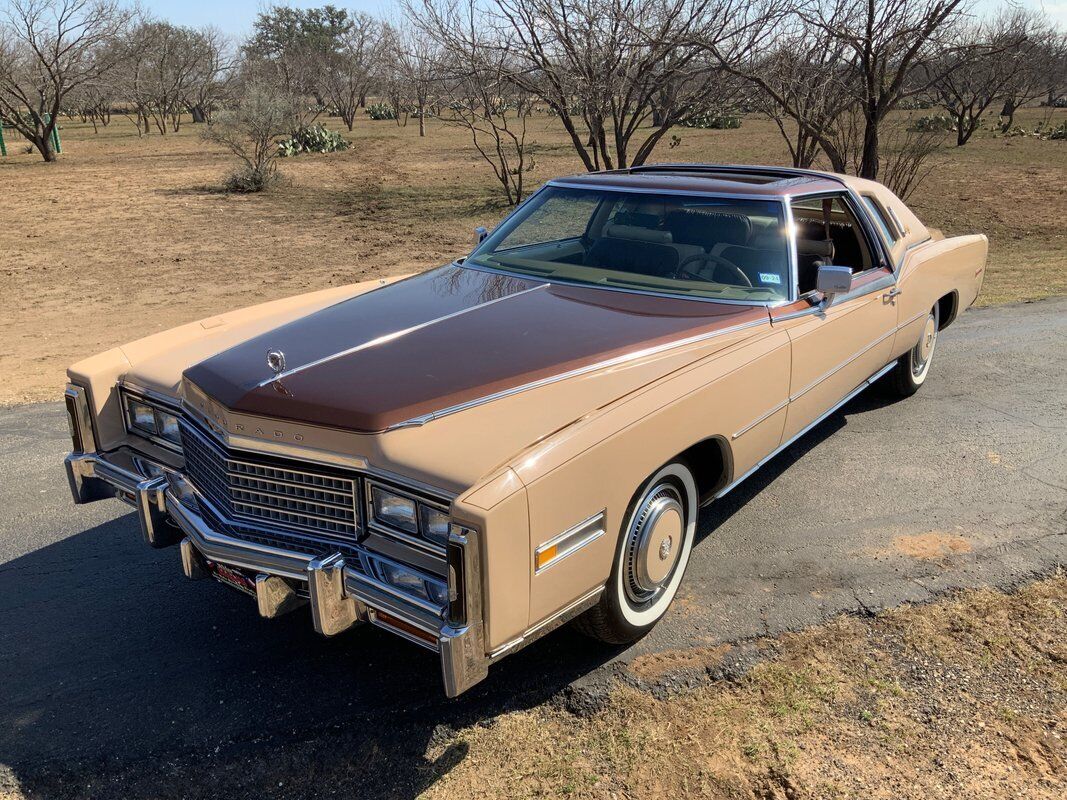 Cadillac-Eldorado-Coupe-1978-Beige-Brown-24876-11