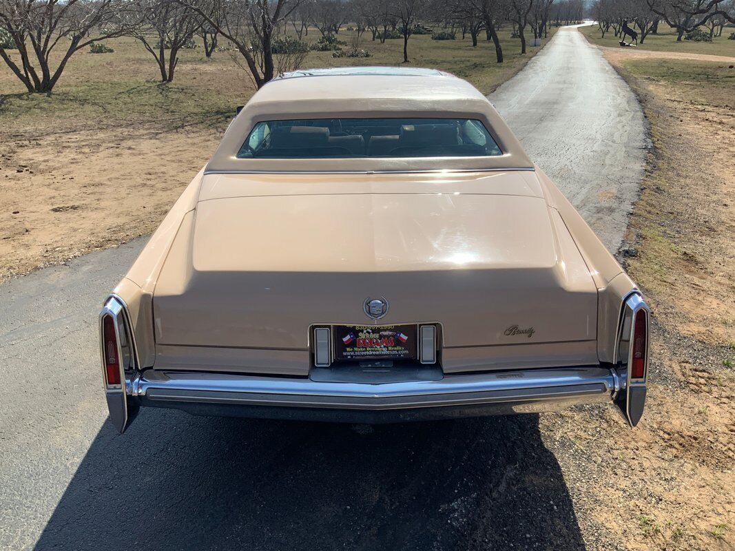 Cadillac-Eldorado-Coupe-1978-Beige-Brown-24876-4