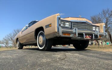 Cadillac-Eldorado-Coupe-1978-Beige-Brown-24876-6