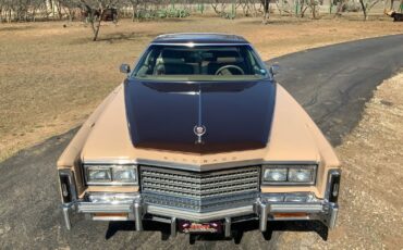 Cadillac-Eldorado-Coupe-1978-Beige-Brown-24876-8