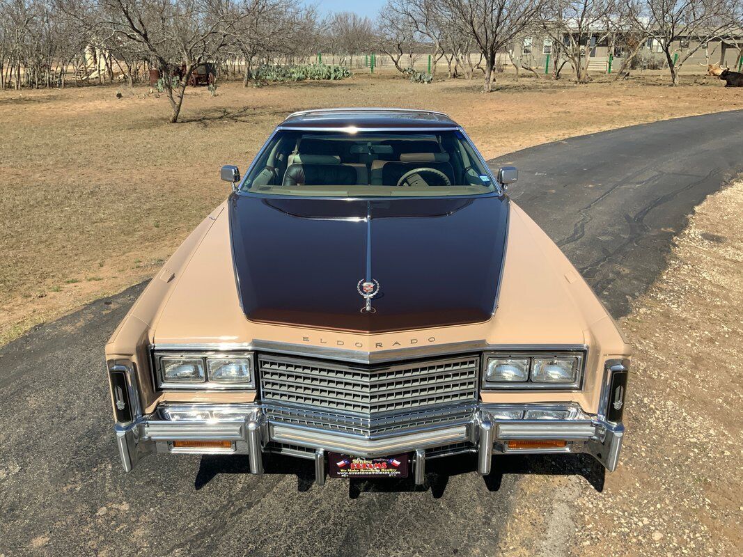 Cadillac-Eldorado-Coupe-1978-Beige-Brown-24876-8