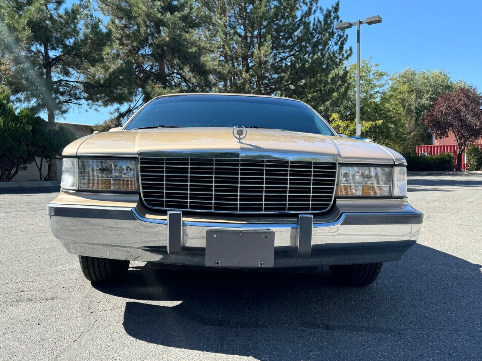 Cadillac-Fleetwood-Berline-1994-Gold-Black-72815-7