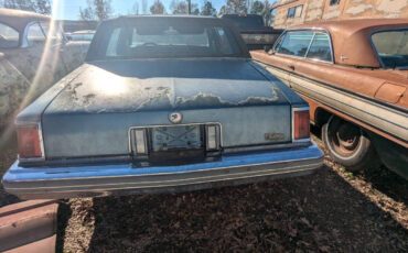 Cadillac-Seville-Berline-1976-Blue-Tan-80918-5