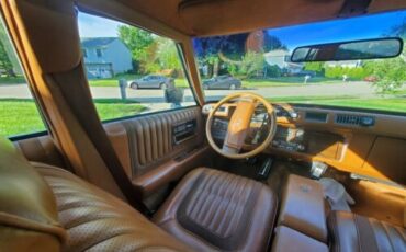 Cadillac-Seville-Berline-1978-Multicolor-Brown-196340-8