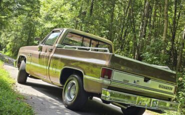 Chevrolet-12-ton-pickups-1984-brown-160934-2