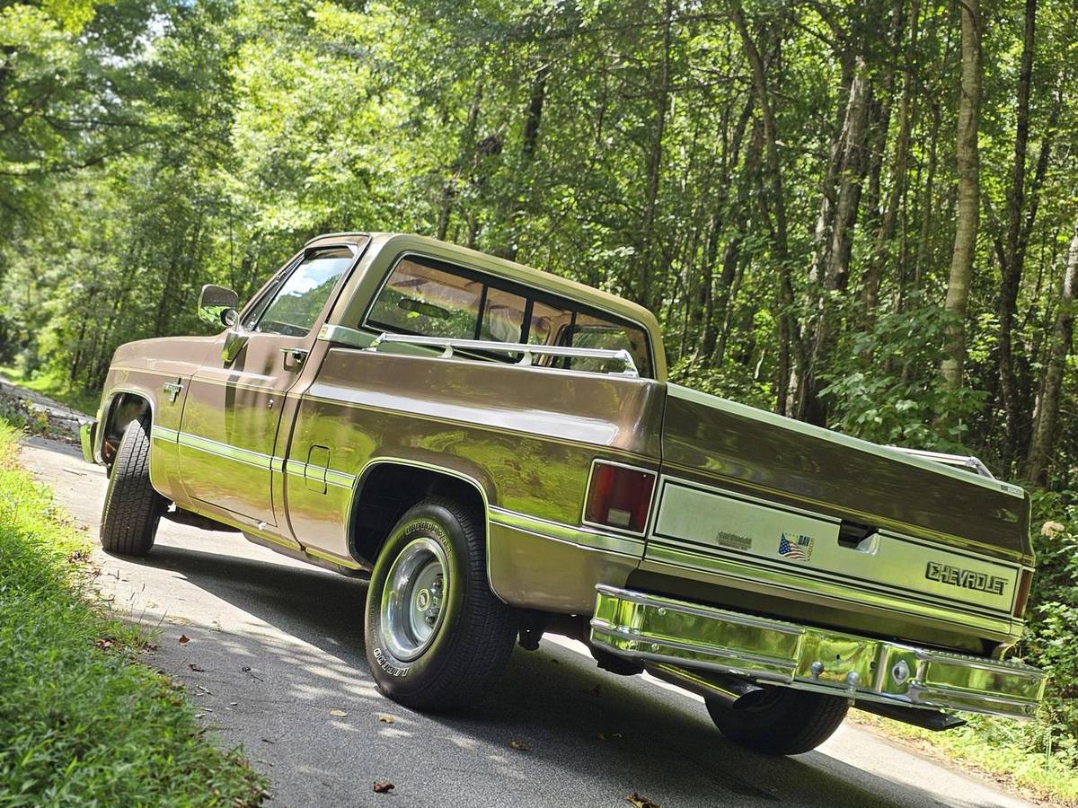 Chevrolet-12-ton-pickups-1984-brown-160934-2