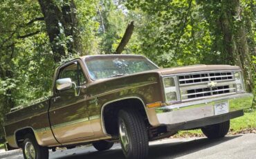 Chevrolet-12-ton-pickups-1984-brown-160934-4