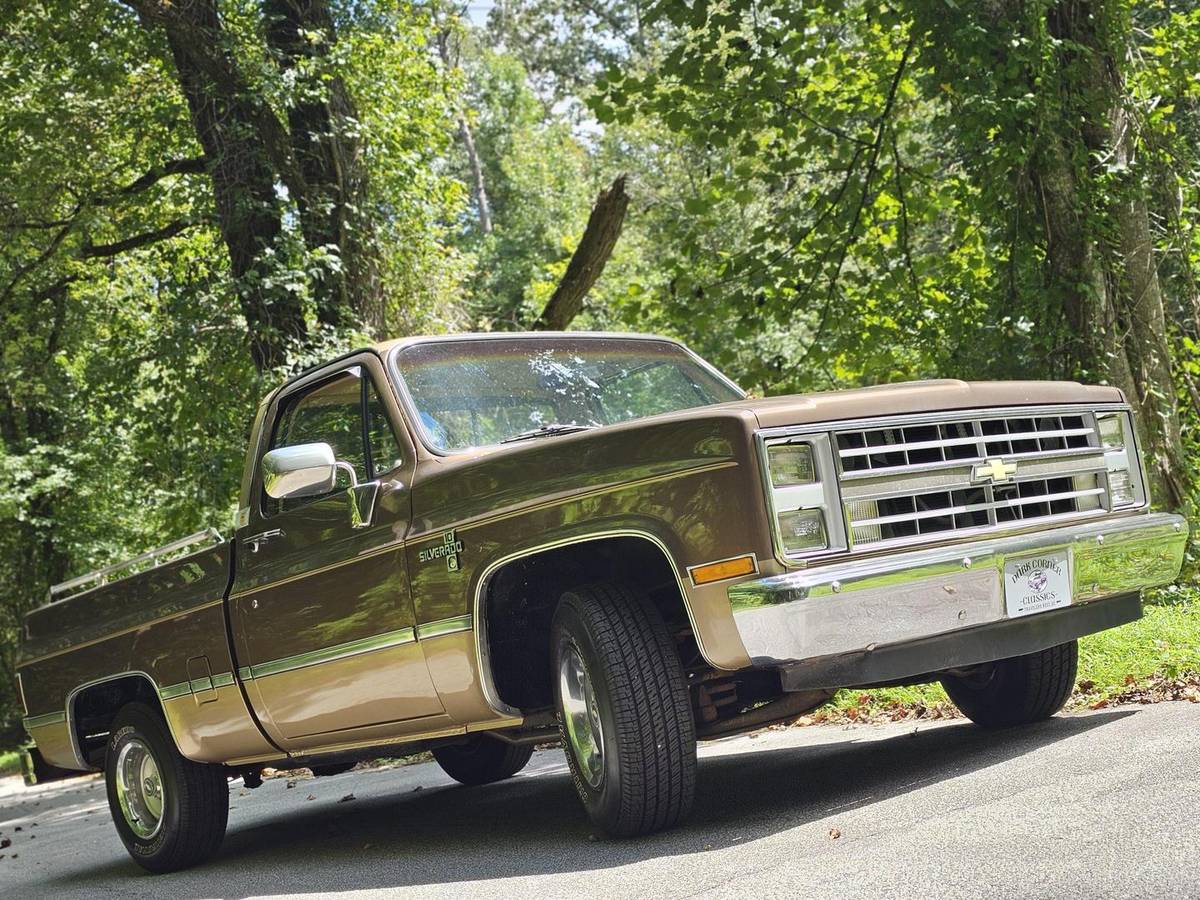 Chevrolet-12-ton-pickups-1984-brown-160934-4