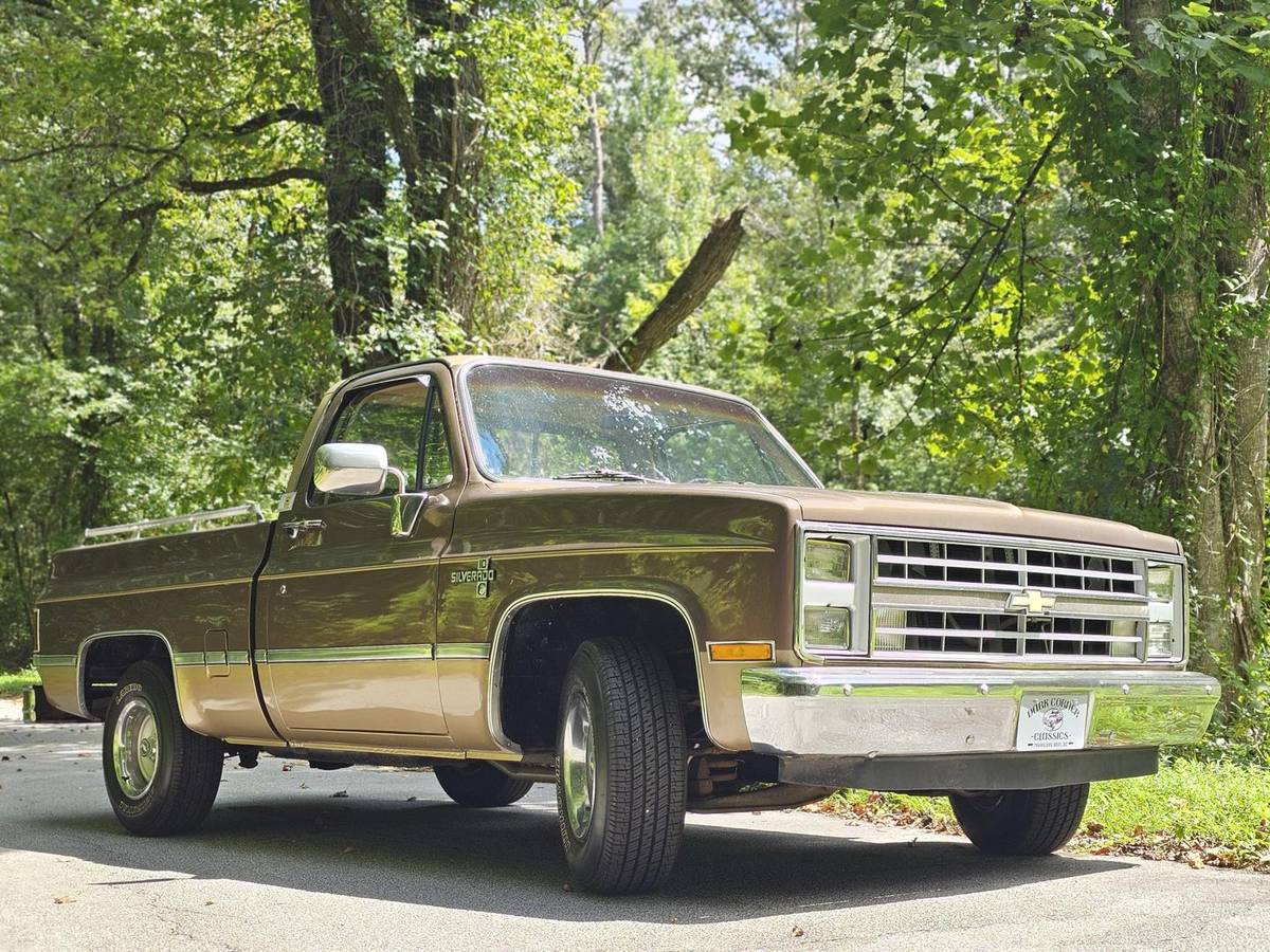 Chevrolet-12-ton-pickups-1984-brown-160934