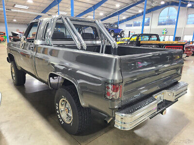 Chevrolet-1500-Cabriolet-1979-Gray-Gray-36035-5