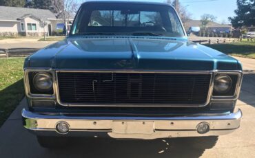 Chevrolet-1975-blue-125348-4