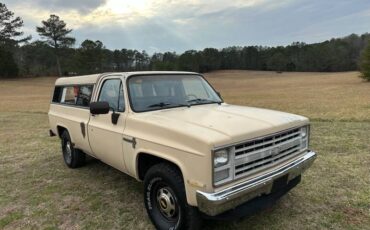 Chevrolet-1987-brown-54718-2