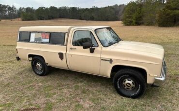 Chevrolet-1987-brown-54718-3