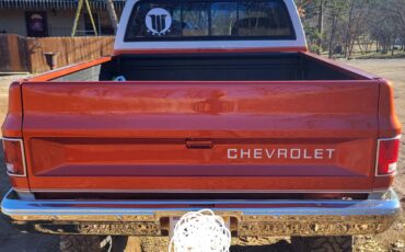 Chevrolet-1988-orange-12875-8