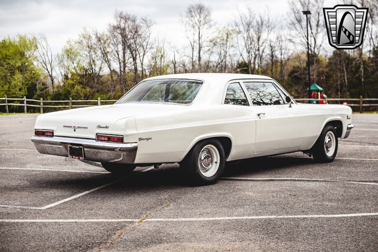 Chevrolet-Biscayne-1966-White-Tan-43803-6