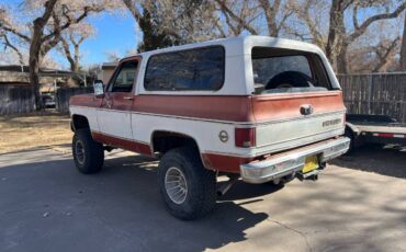 Chevrolet-Blazer-1978-brown-160934-1